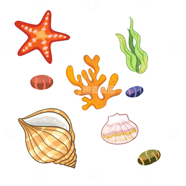 源文件下载【趣麦麦图】海星海螺贝壳元素