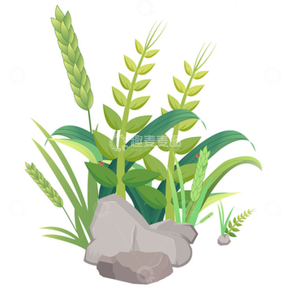 源文件下载【趣麦麦图】小满麦子小满场景麦穗石头手绘