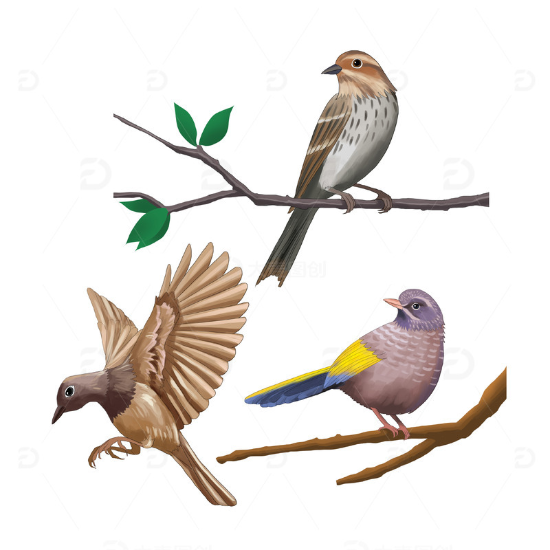 源文件下载【趣麦麦图】动物站在枝头的小鸟飞翔的鸟儿