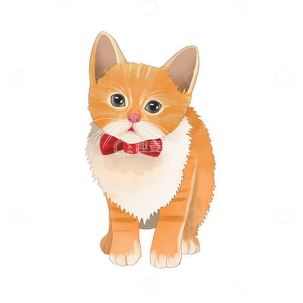 源文件下载【趣麦麦图】橘色可爱动物小猫咪