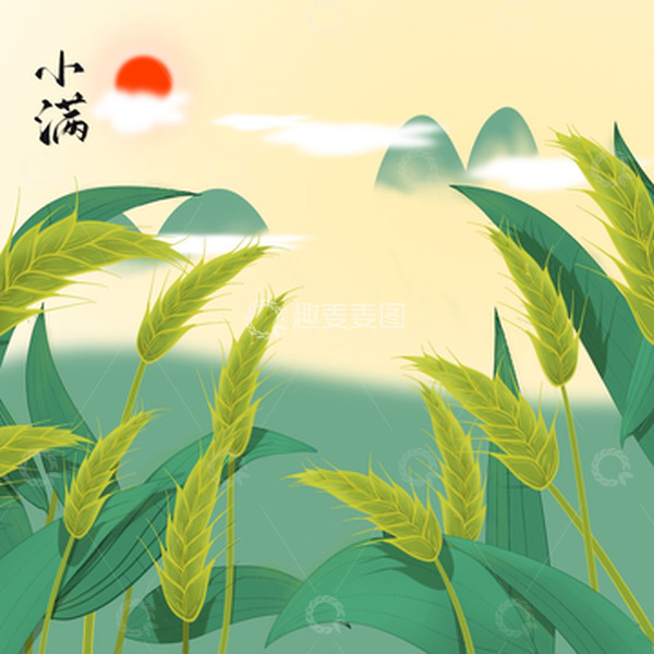 源文件下载【趣麦麦图】小满麦穗绿叶节气插画元素