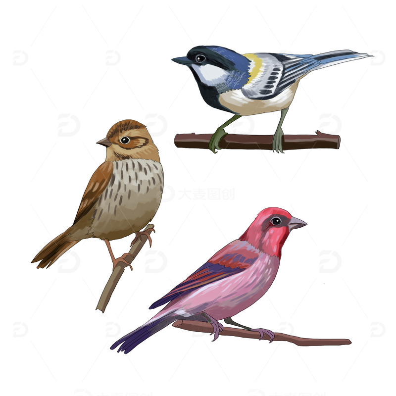 源文件下载【趣麦麦图】手绘枝头可爱动物小鸟