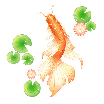 手绘国潮锦鲤鲤鱼莲叶睡莲荷叶好运吉祥动物