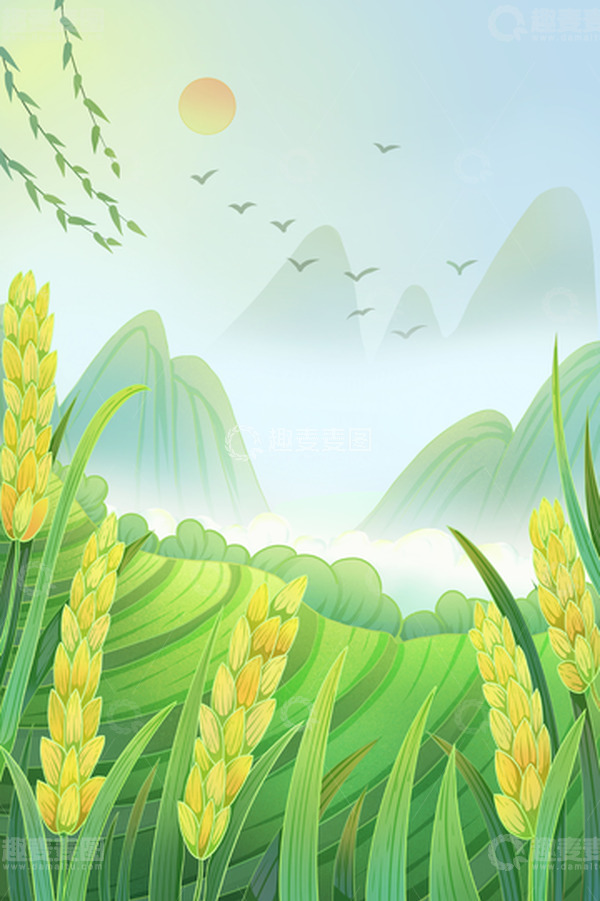 源文件下载【趣麦麦图】-小麦节气小满麦子麦穗梯田山野麦子背景