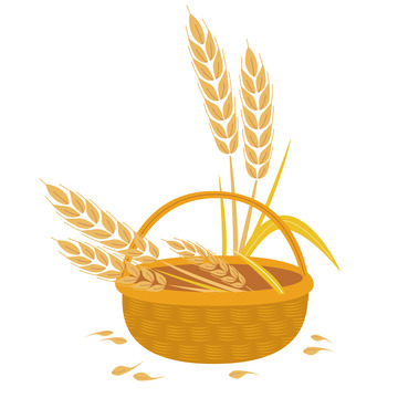 芒种卡通金黄小麦穗稻筐篮收麦子