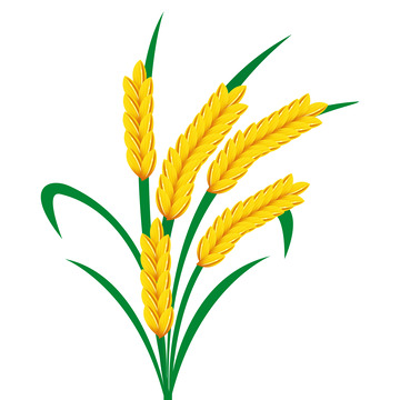 卡通金黄色芒种水稻元素