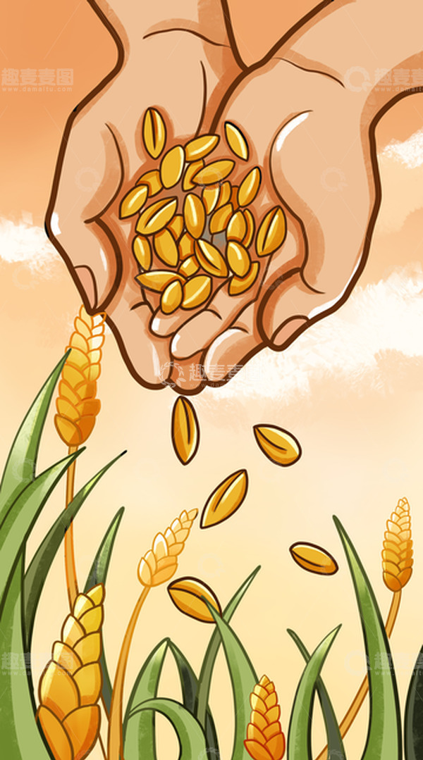 源文件下载【趣麦麦图】芒种农忙农忙场景水稻田野麦田