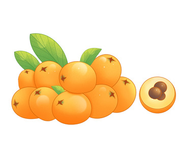 新鲜水果甜枇杷元素