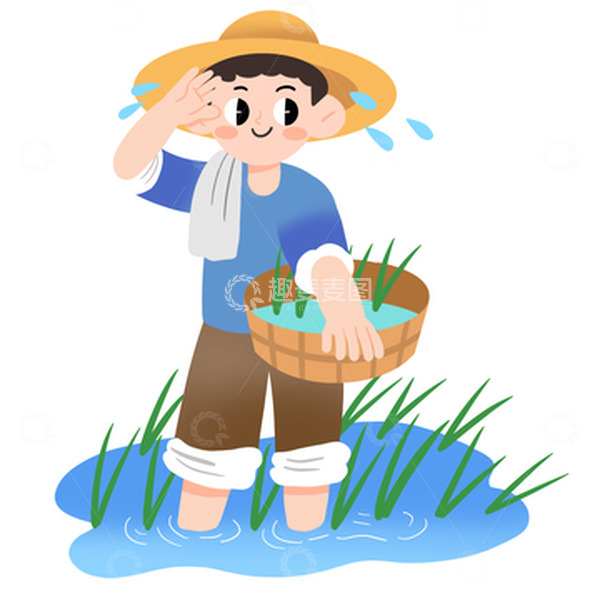 源文件下载【趣麦麦图】芒种农民伯伯水稻插秧