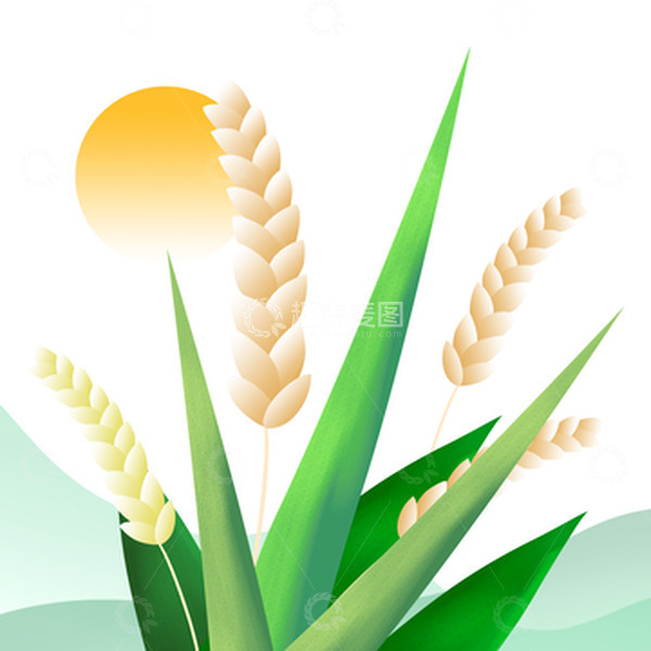 源文件下载【趣麦麦图】手绘麦子芒种小满元素