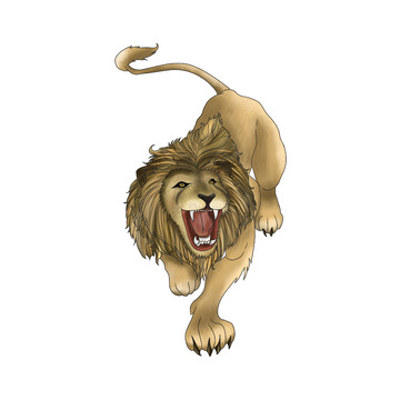手绘卡通狮子 雄狮