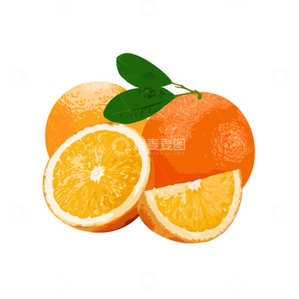 源文件下载【趣麦麦图】-夏天水果橙子组合