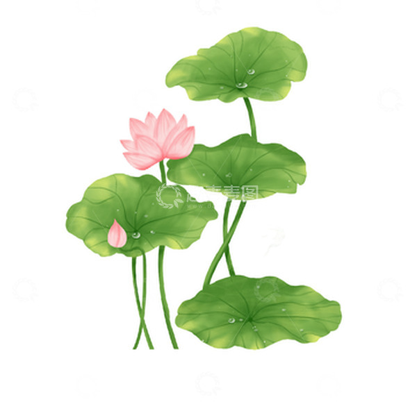 源文件下载【趣麦麦图】国潮风夏至荷花