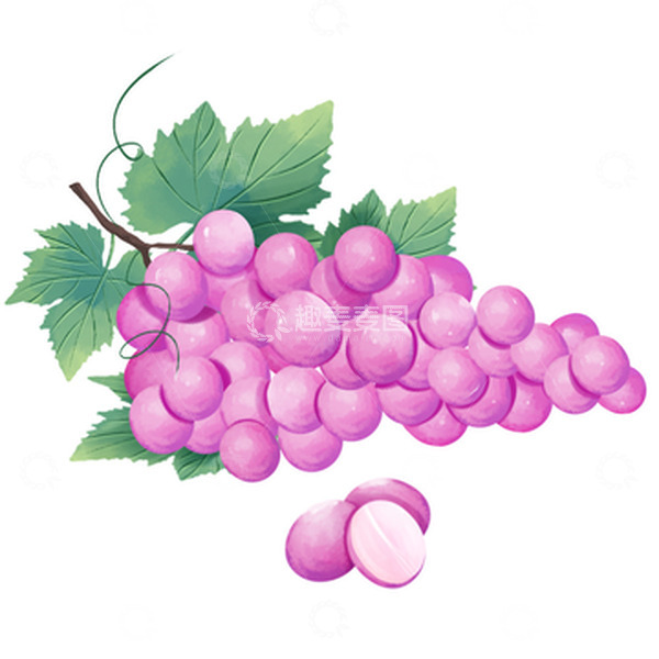 源文件下载【趣麦麦图】夏天水果紫色葡萄元素