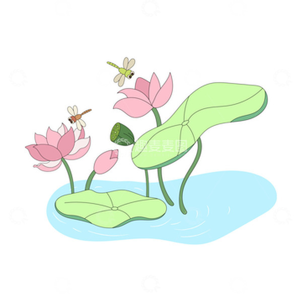 源文件下载【趣麦麦图】夏日夏至荷花莲蓬蜻蜓插画