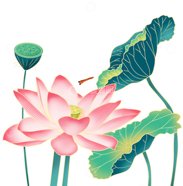 源文件下载【趣麦麦图】立夏手绘荷花荷叶插画元素