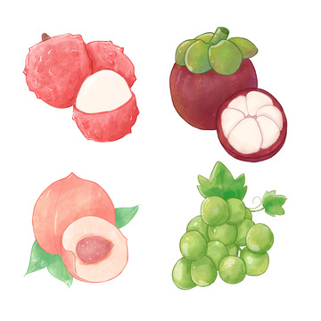 荔枝山竹桃子葡萄水彩手绘写实