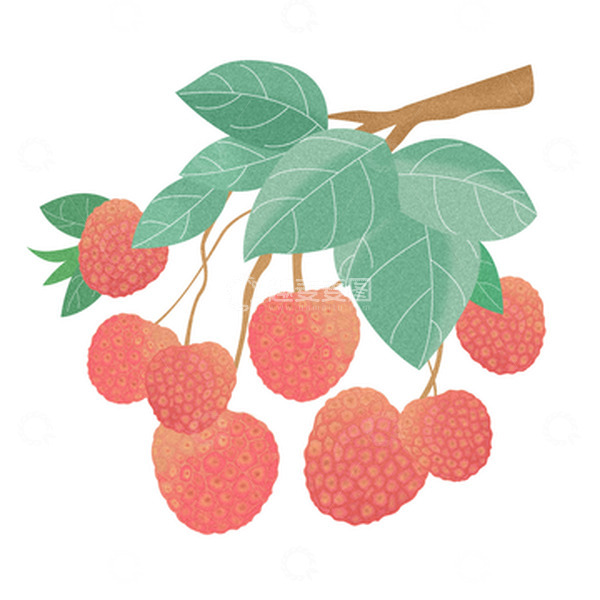 源文件下载【趣麦麦图】夏季甜甜的荔枝