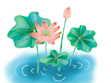 国潮风格荷花小组合