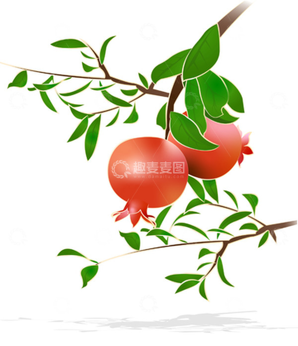 源文件下载【趣麦麦图】中国风古风国潮石榴水果植物夏至夏天秋天