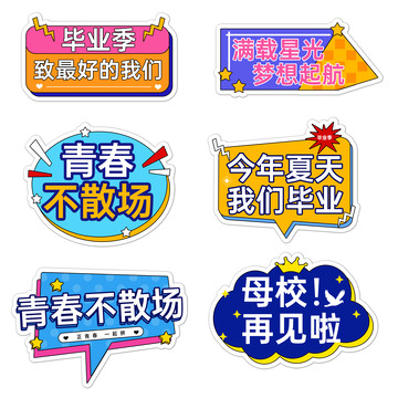 毕业季简约大气手举牌