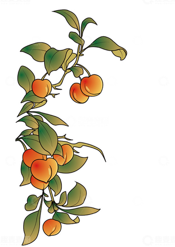 源文件下载【趣麦麦图】-植物桃子插画