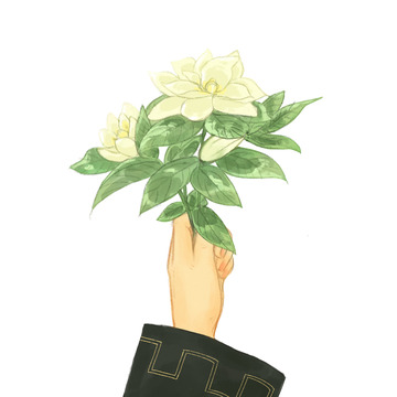 夏日栀子花手绘元素