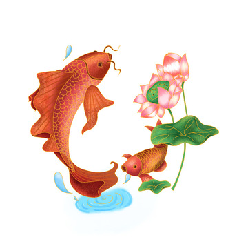 红鲤鱼 荷花国风插画