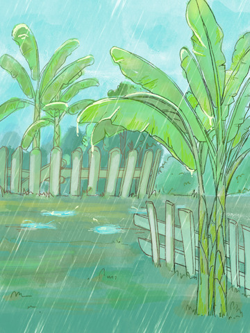 小暑场景 芭蕉树