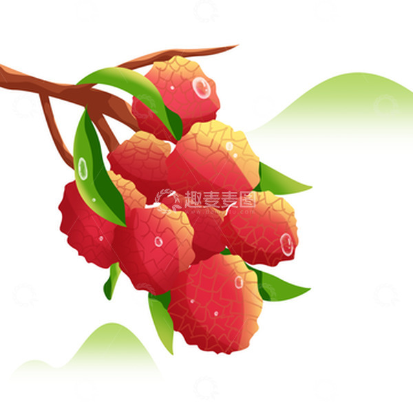 源文件下载【趣麦麦图】小暑水果荔枝插画风装饰夏季美食