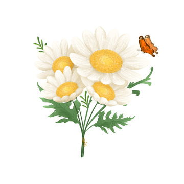 小清新菊花雪菊儿童插画手绘卡通植物花卉