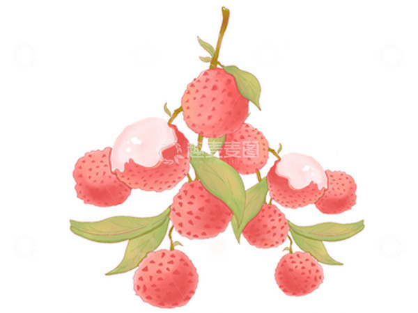 源文件下载【趣麦麦图】手绘风格丰富多汁的荔枝