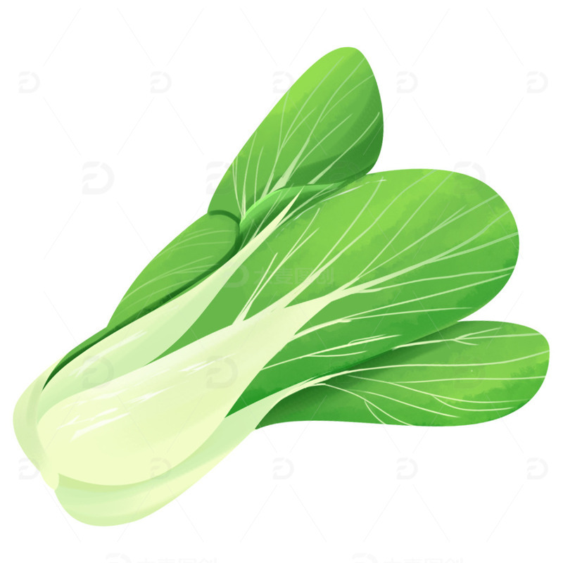 源文件下载【趣麦麦图】新鲜的蔬菜小白菜插画元素