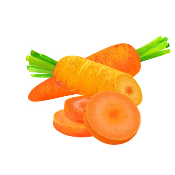 插画元素胡萝卜