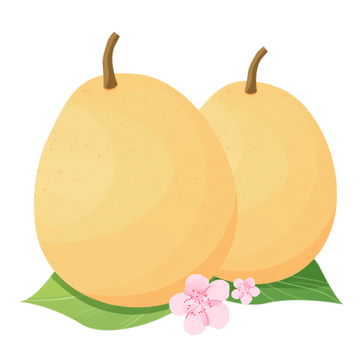 黄色水果雪梨香梨梨子健康食物亚元素