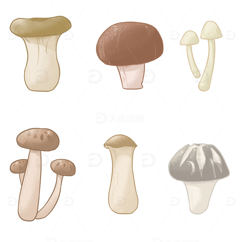 源文件下载【趣麦麦图】-手绘蘑菇蔬菜菌类