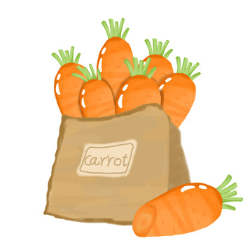 手绘胡萝卜蔬菜营养元素