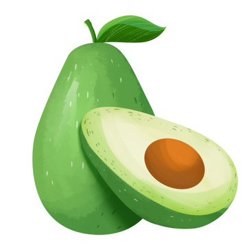 手绘夏季水果果实牛油果元素