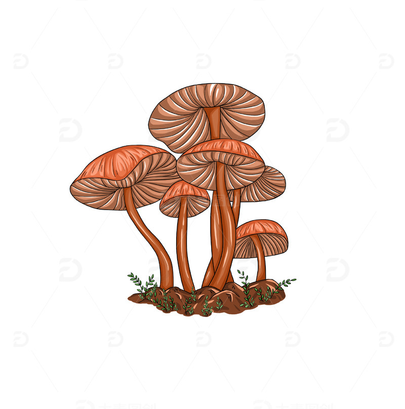 源文件下载【趣麦麦图】手绘植物蘑菇菇类