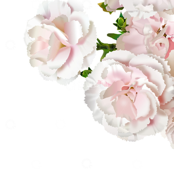 源文件下载【趣麦麦图】-手绘康乃馨花