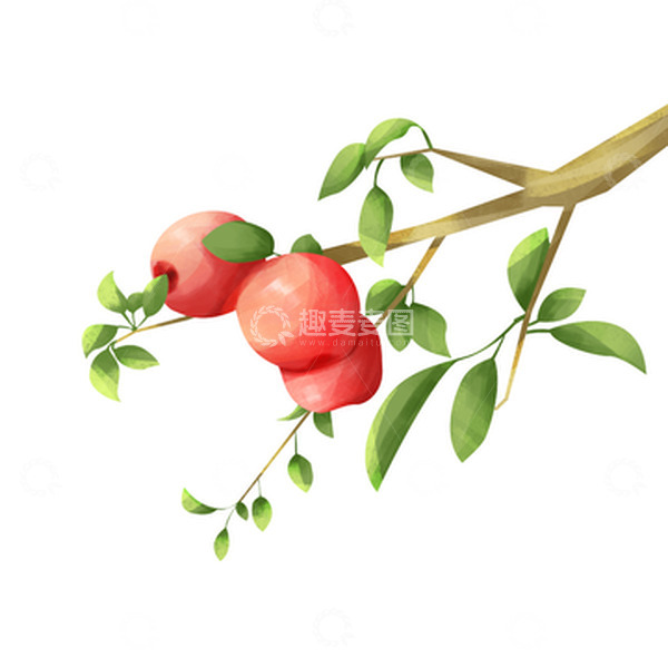 源文件下载【趣麦麦图】水果苹果树红色苹果