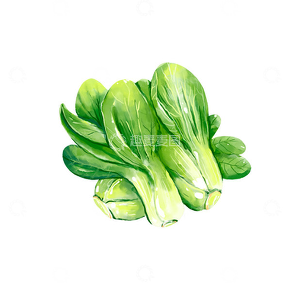 源文件下载【趣麦麦图】手绘三棵青菜