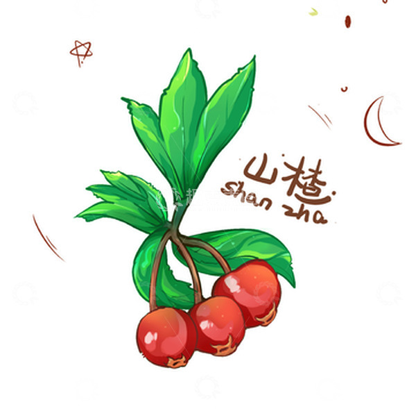 源文件下载【趣麦麦图】手绘原创水果山楂扁平清新风素材插画