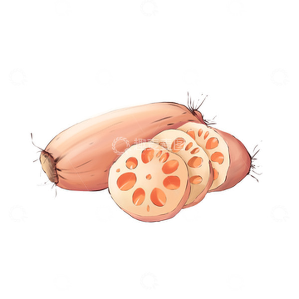 源文件下载【趣麦麦图】手绘蔬菜莲藕