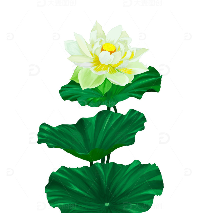 源文件下载【趣麦麦图】6月莲花盛开