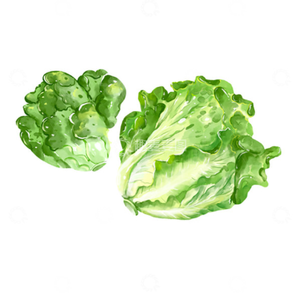 源文件下载【趣麦麦图】-手绘时令青菜