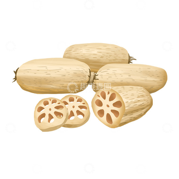 源文件下载【趣麦麦图】蔬菜水果莲藕切片藕片