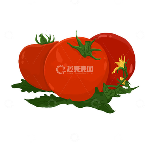 源文件下载【趣麦麦图】手绘西红柿蔬菜元素