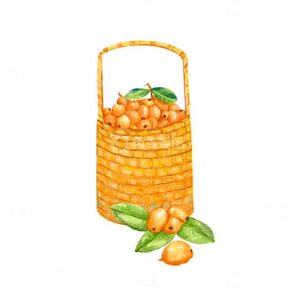 源文件下载【趣麦麦图】手绘一框枇杷