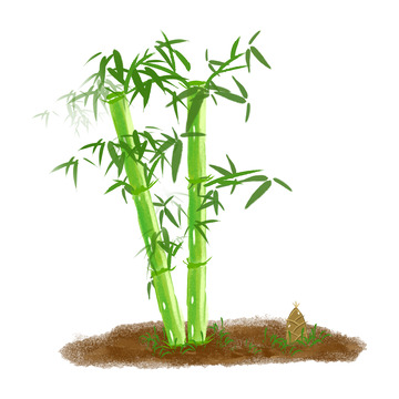 春天夏天竹子竹笋装饰元素手绘水彩风
